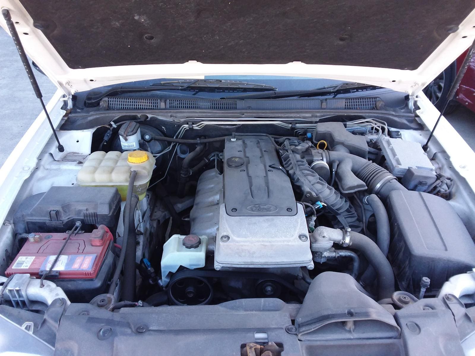 Ford Falcon 2012